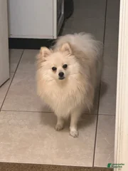 Minnie
