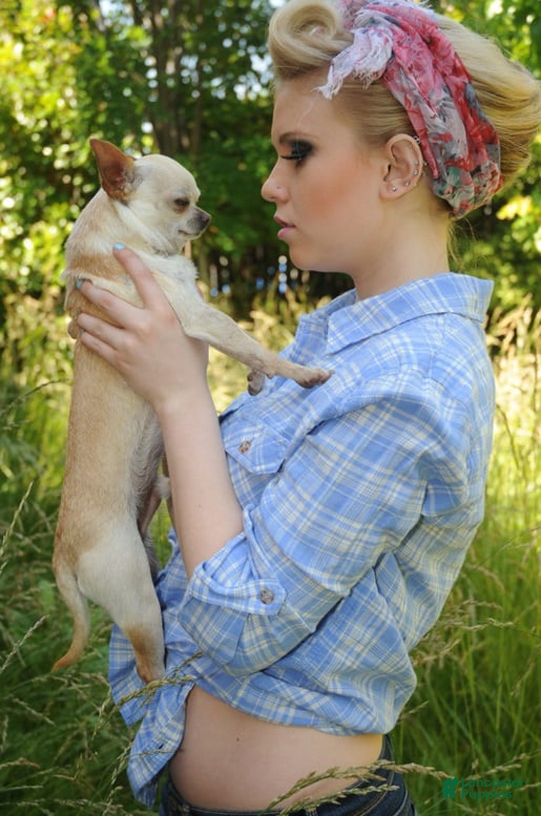 Gallery Image {{count}}