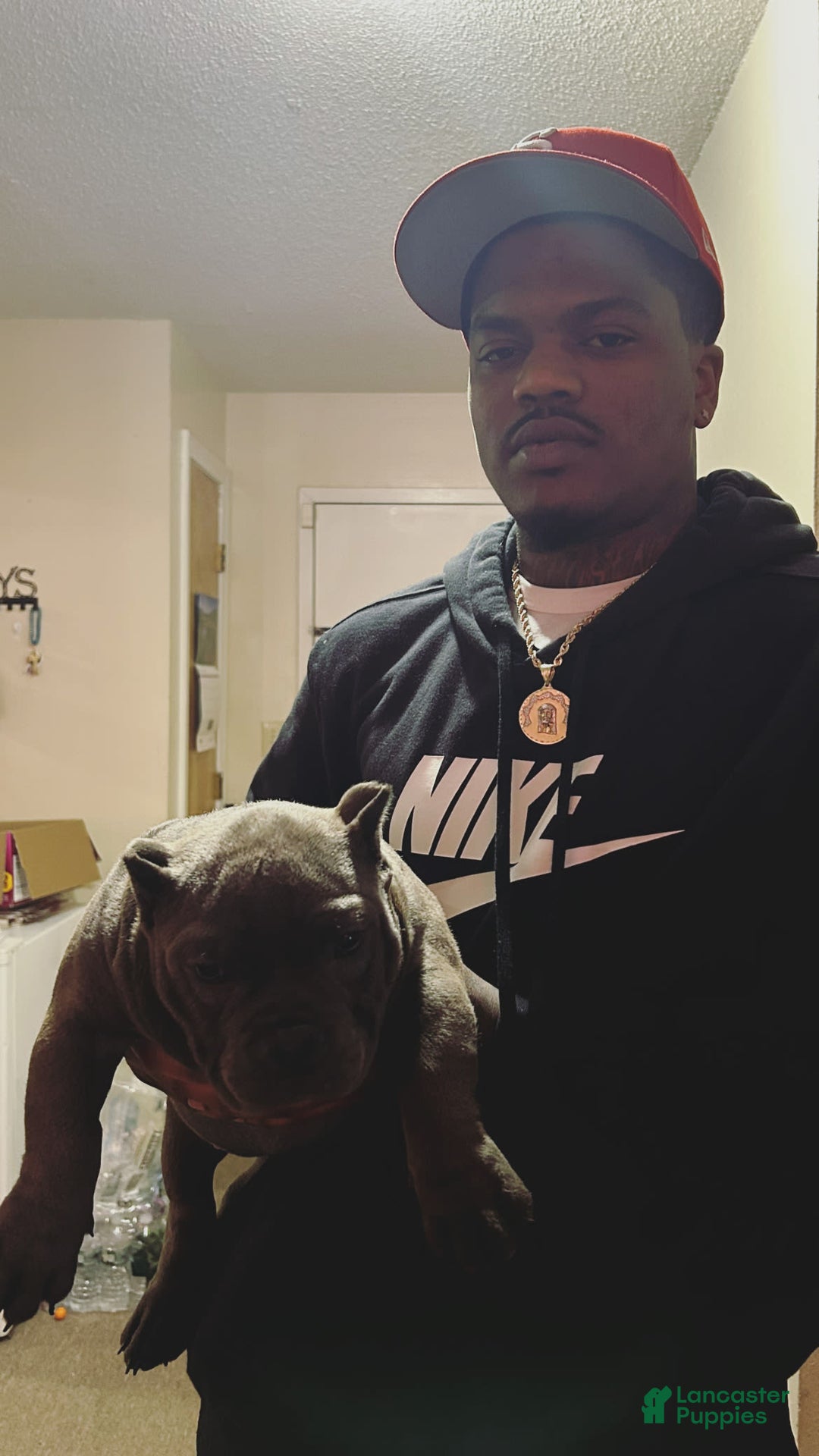 Gallery Image {{count}}