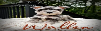 Akc Wallen
