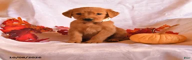 Ben
