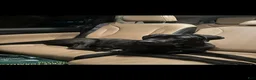 Cane Corso dogs for sale: Cooper - Ad 1