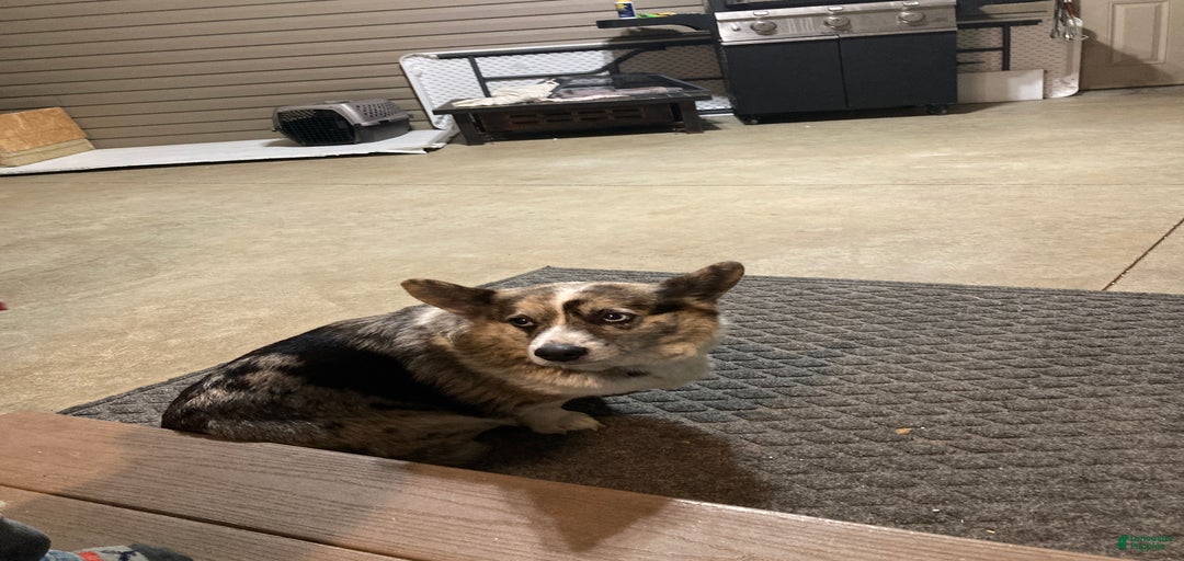 Gallery Image {{count}}