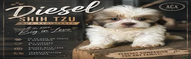 Diesel