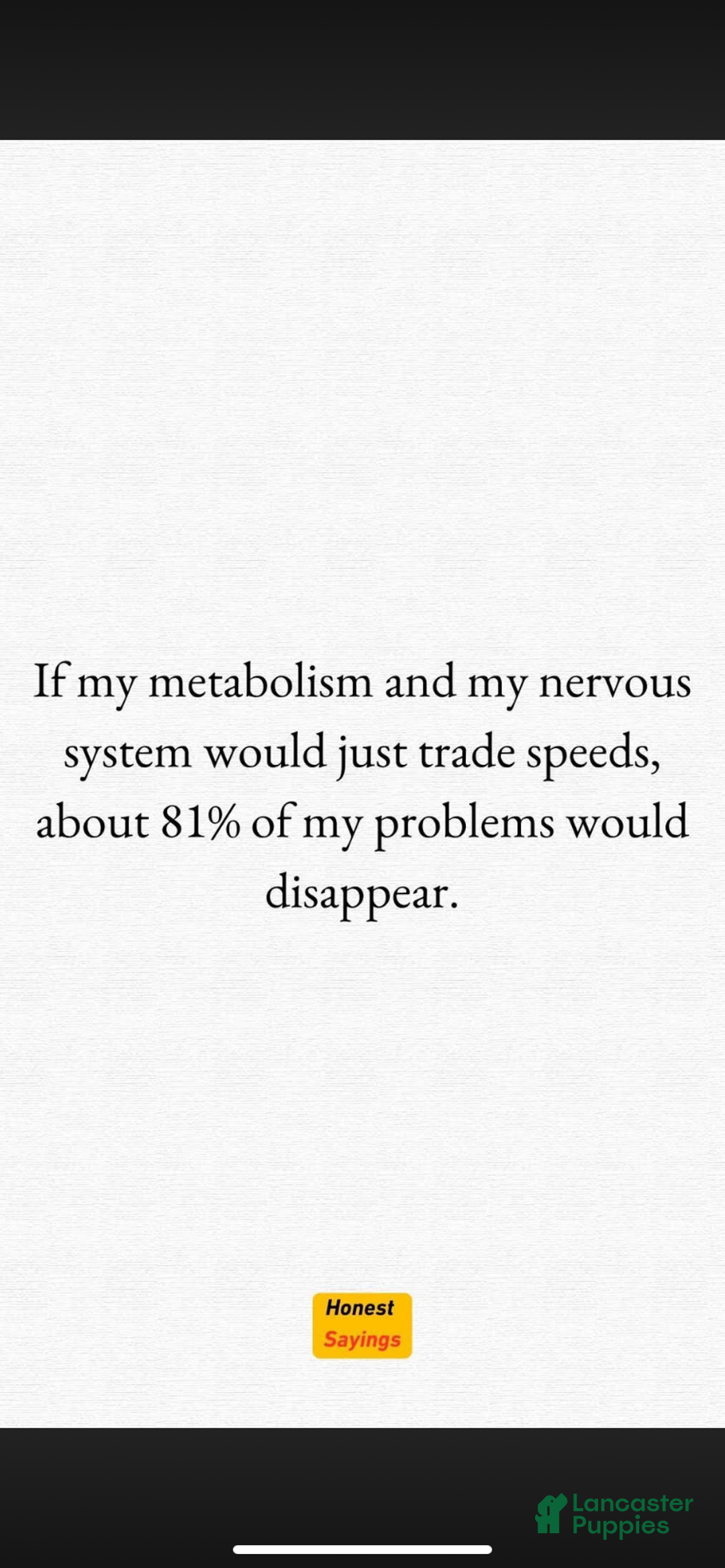 Goldendoodle dogs for sale: Goldendoodle Puppy 4 - Ad 11