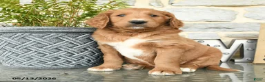 Jack 