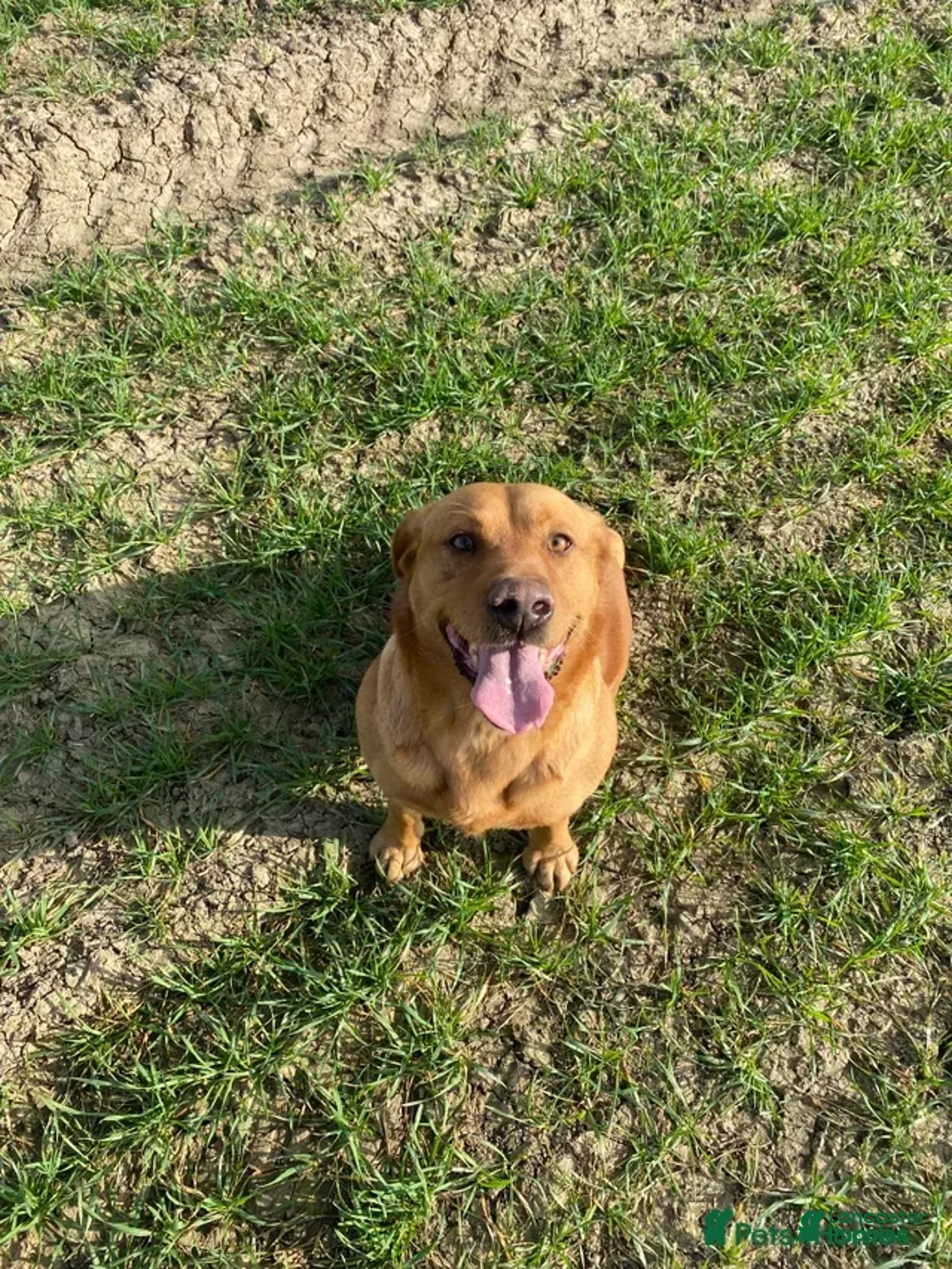 Gallery Image {{count}}