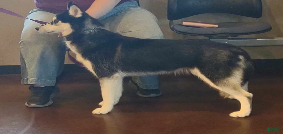 Gallery Image {{count}}