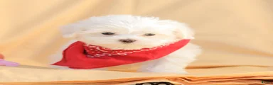 Benny