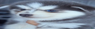 Luna Blue