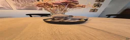 Chihuahua dogs for sale: alli - Ad 6