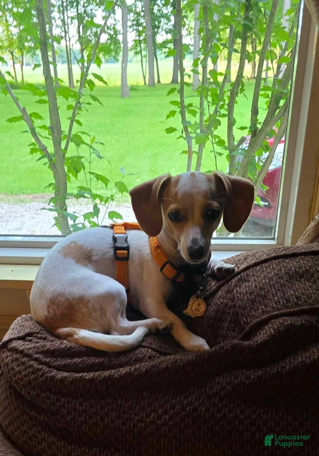 Gallery Image {{count}}