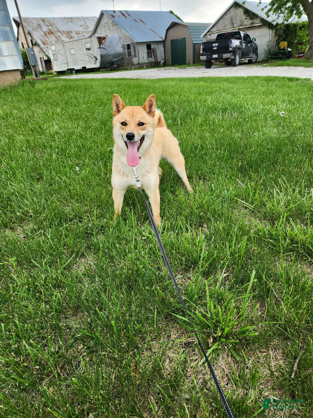 Gallery Image {{count}}