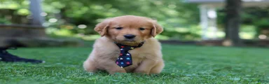 Benson