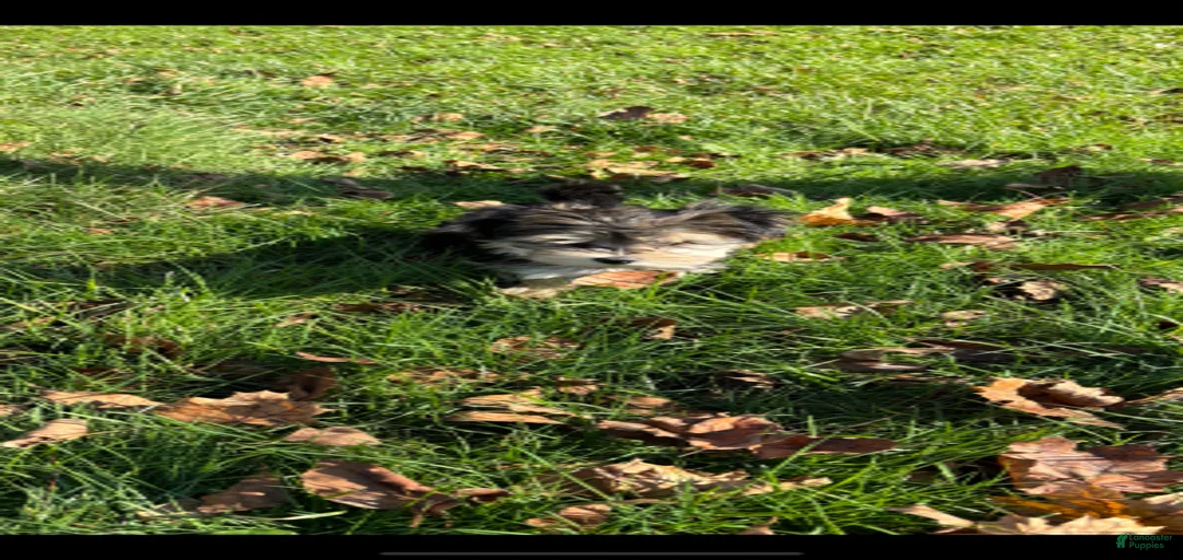 Gallery Image {{count}}