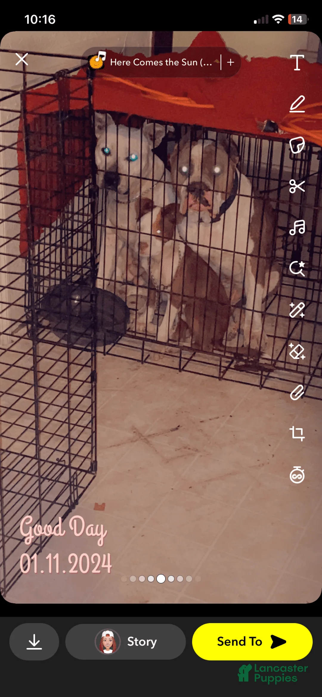 Gallery Image {{count}}