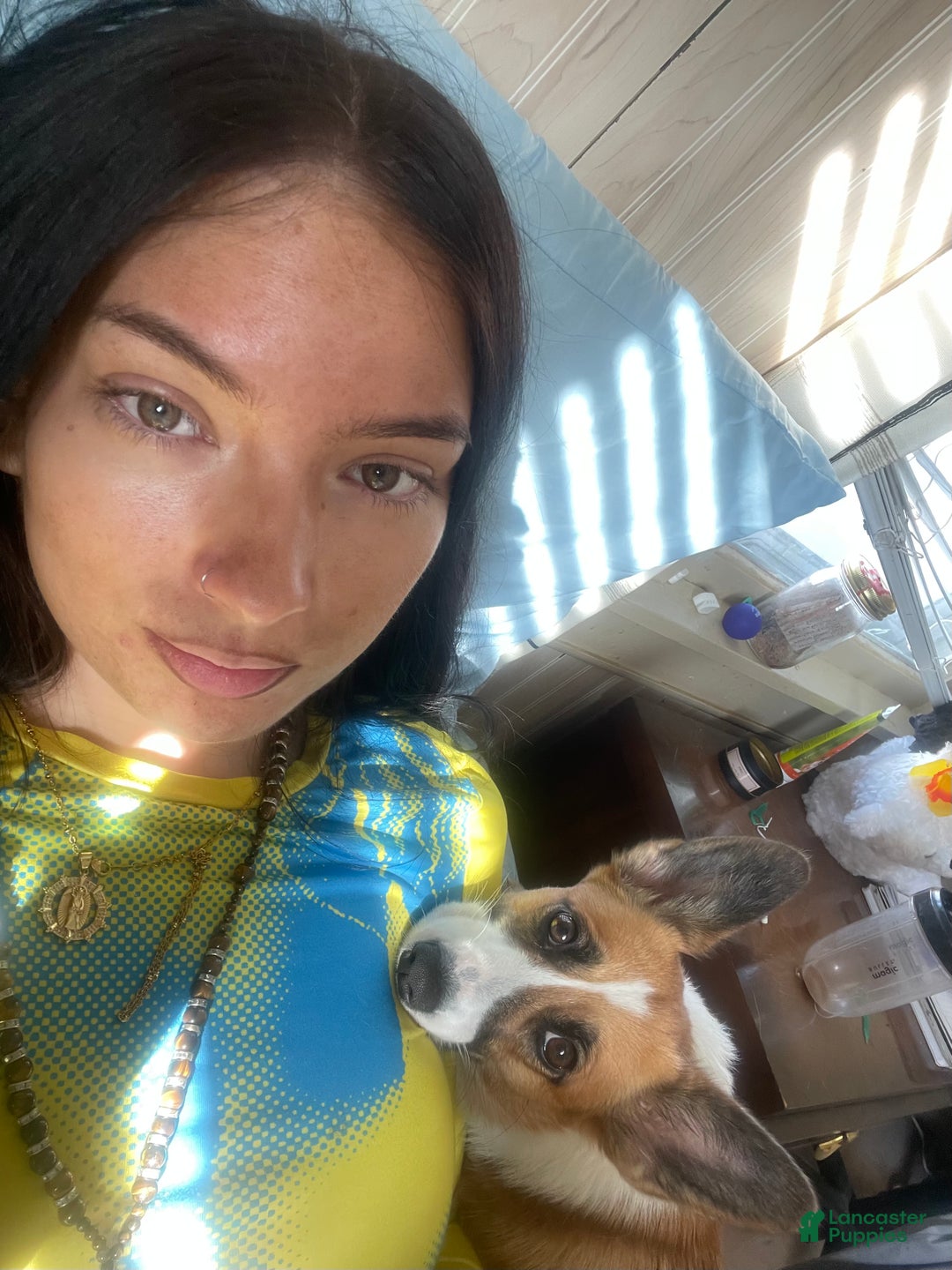 Gallery Image {{count}}