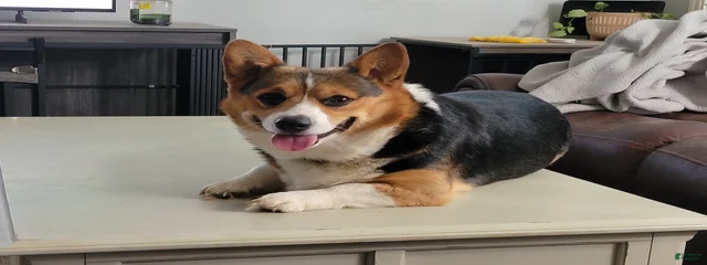 Jeffrey 