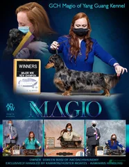 GCH Magio