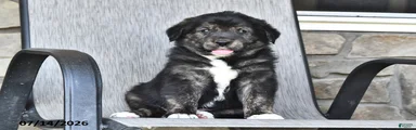 Tubby