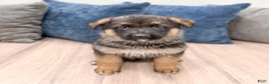 Kaden