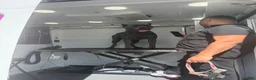 Cane Corso dogs for sale: Cane Corso Puppy 1 - Ad 2