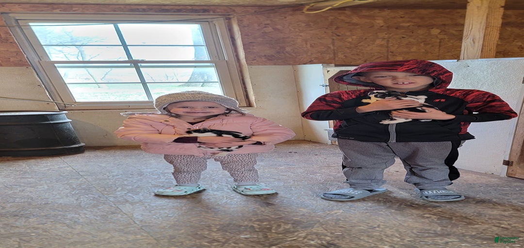 Gallery Image {{count}}