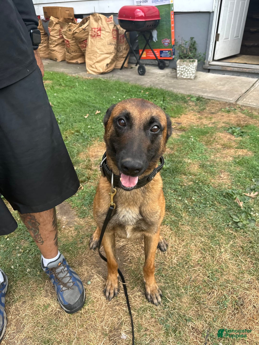 Gallery Image {{count}}