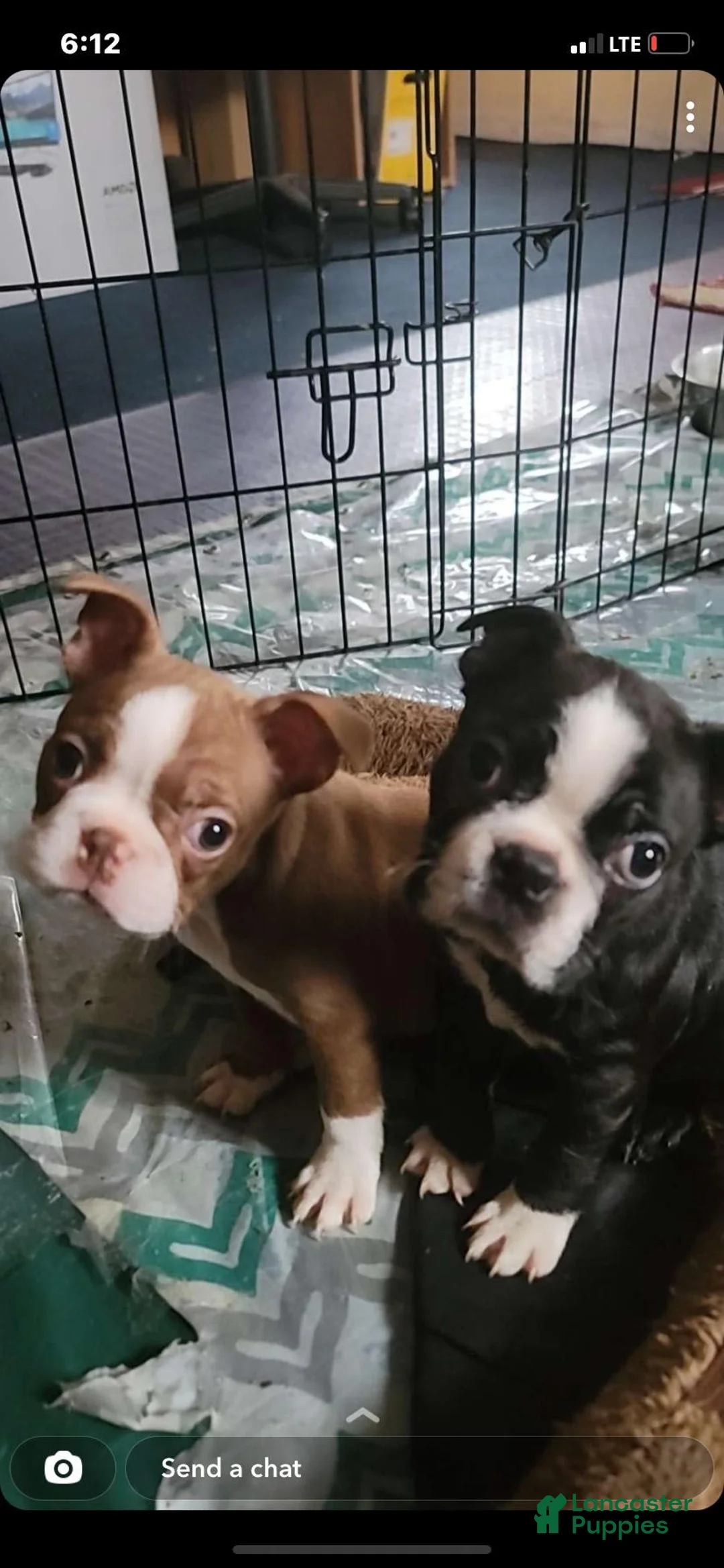 Gallery Image {{count}}