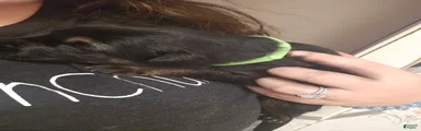 Green Collar Male