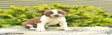 Lenny 