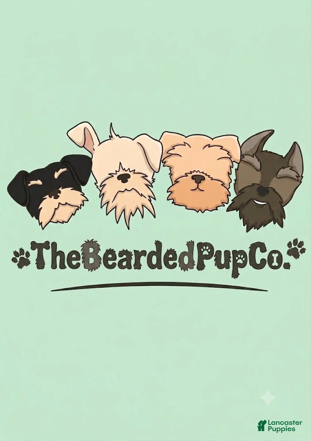 Brussels Griffon dogs for sale: Brussels Griffon 4 - Ad 3