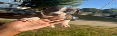 Raven (girl) 