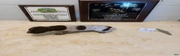 German Shorthaired Pointer dogs for sale: German Shorthaired Pointer 5 - Ad 3
