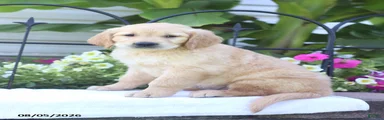 Charlie