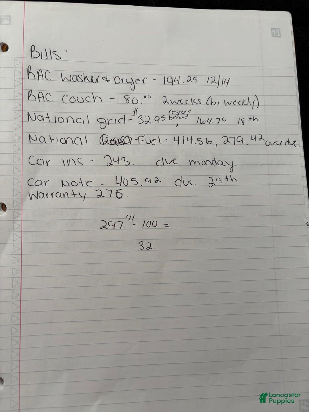 American Bully dogs for sale: Milli - Ad 30