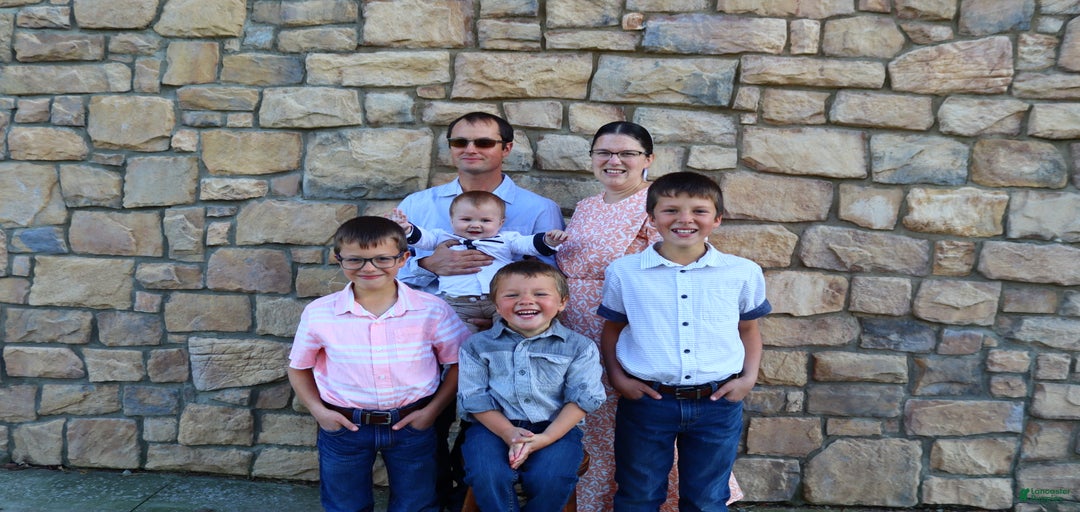 Gallery Image {{count}}