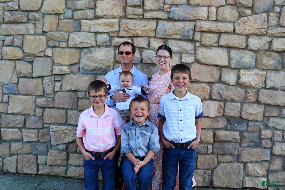 Gallery Image {{count}}