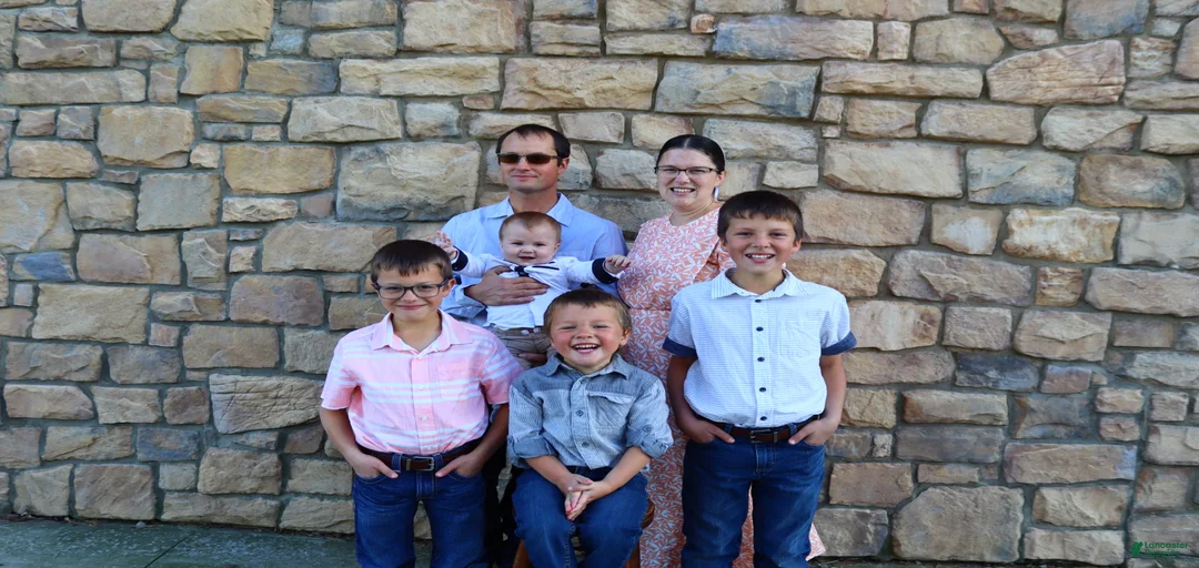 Gallery Image {{count}}