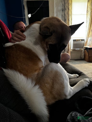 Gallery Image {{count}}