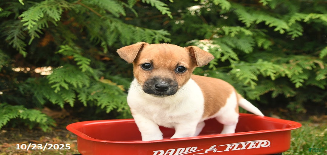 Gallery Image {{count}}