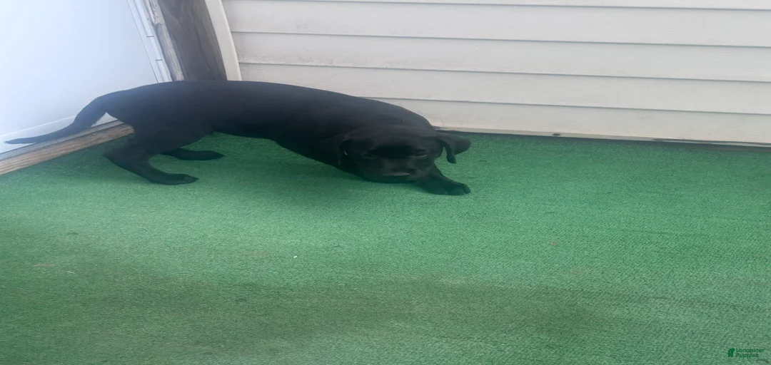 Gallery Image {{count}}