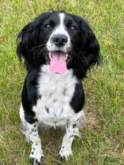 Freyja