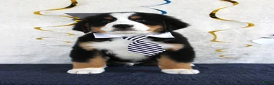 Major