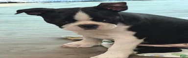 Lucy