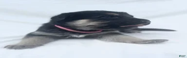 Rosie