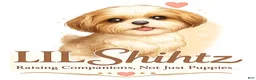 Shih Tzu dogs for sale: LIL Pink Girl - Ad 4