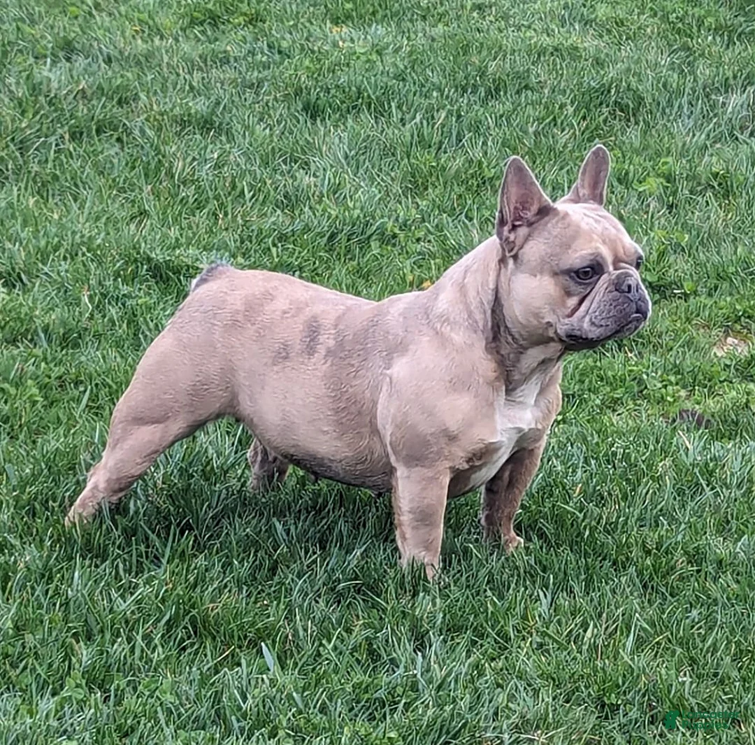 Gallery Image {{count}}