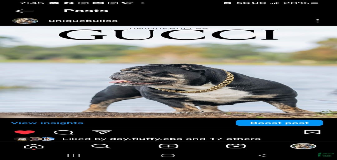 Gallery Image {{count}}