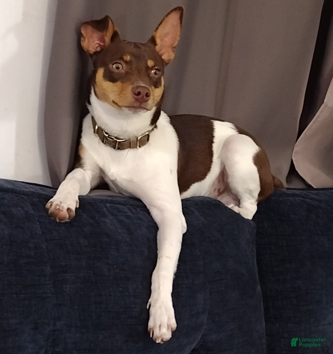 Gallery Image {{count}}